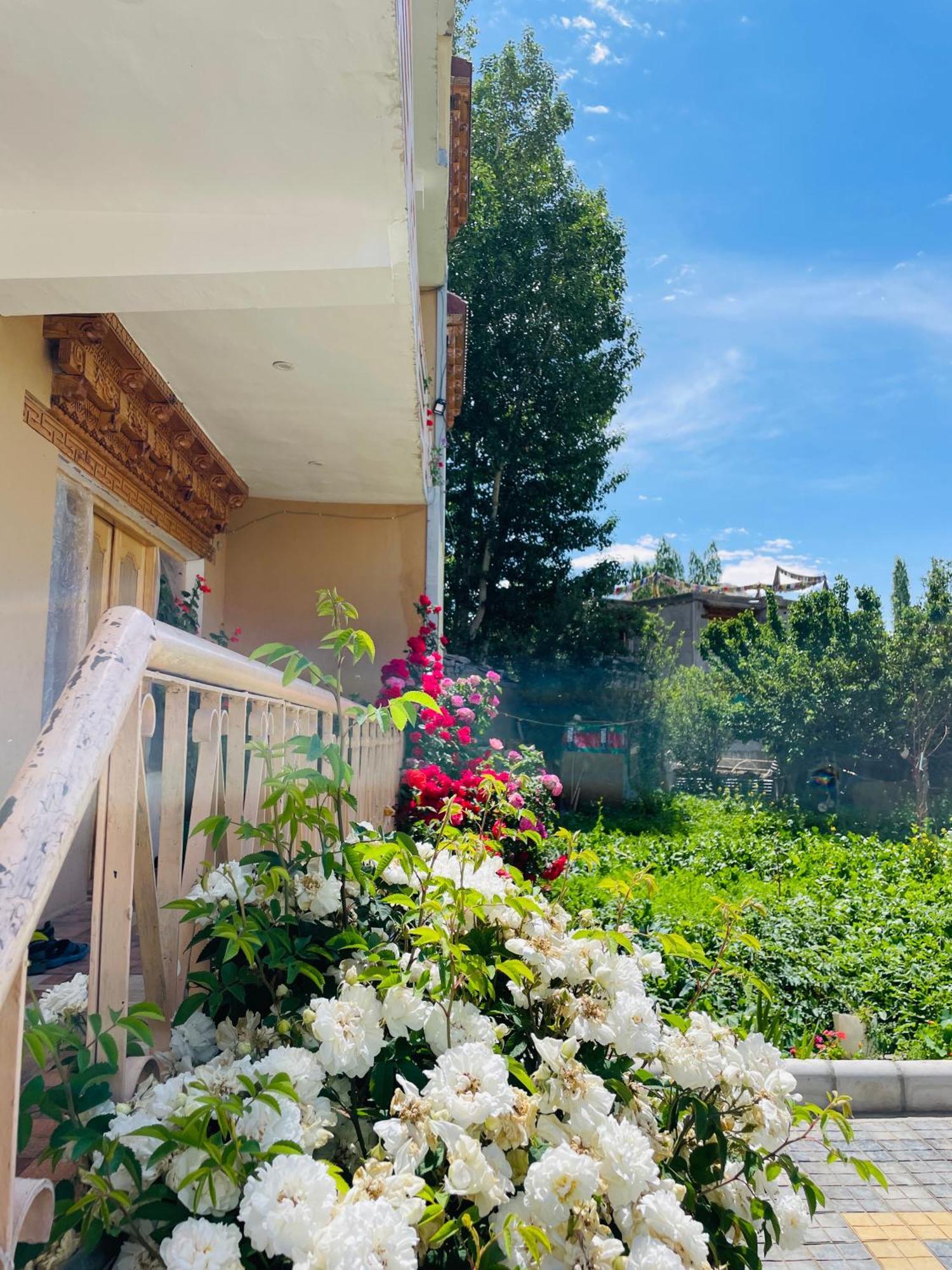 Zlatan Guest House 레 외부 사진